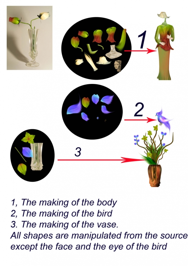 Creation of woman: Step 1